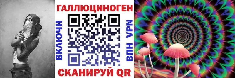 Купить  Сегежа  Псилоцибиновые грибы MAGIC MUSHROOMS 