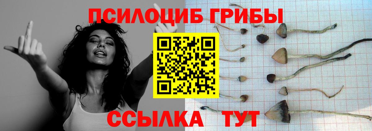 Псилоцибиновые грибы GOLDEN TEACHER  Вход с VPN  купить наркотики цена  Сегежа 