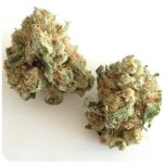 Шишки "White Widow"  (Белая вдова)  Гидропоника -  Бошка VHQ в Сегеже